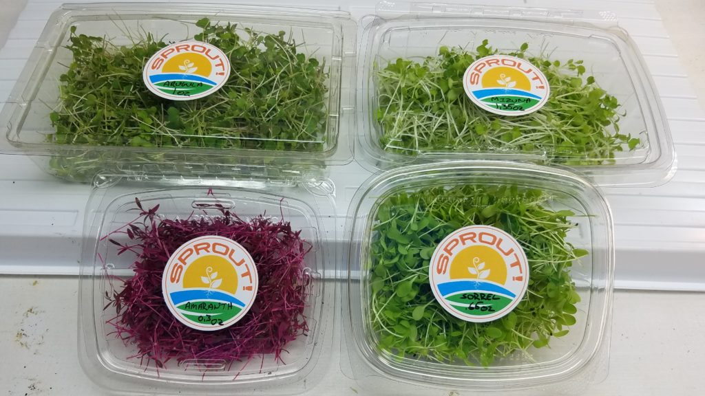 microgreen-order-with-new-packages-and-labels-sprout-farms-llc