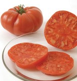 Tomato, Brandywine, Heirloom, Organic, Garden Plant